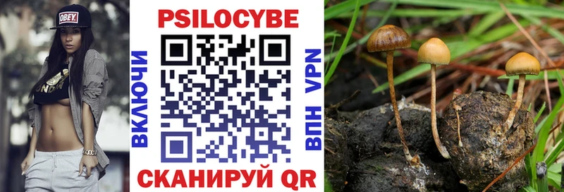 Галлюциногенные грибы Magic Shrooms блэк спрут рабочий сайт мориарти наркотические препараты Лермонтов